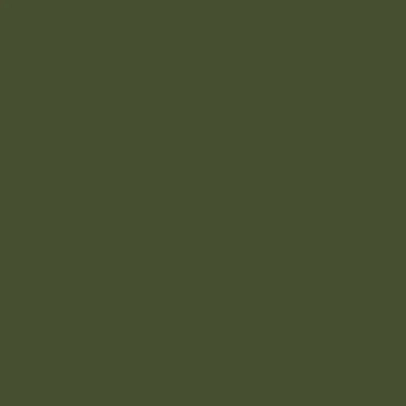 BCR COACH JACKET - OLIVE