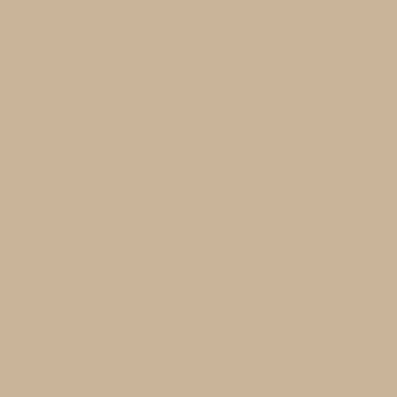 BCR WIDE CARGO PANTS - BEIGE